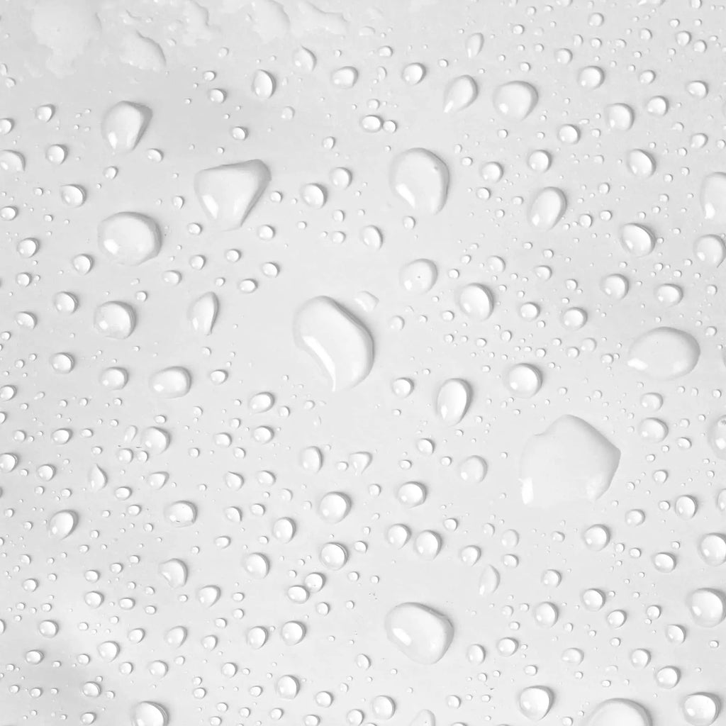 MIRACLE TONIC - AHA TONER Salt & Rose Cosmetics
